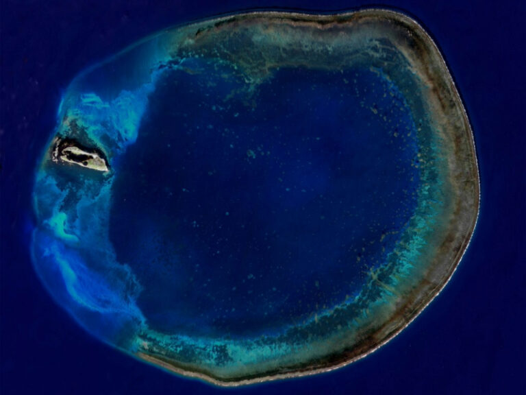 A Newly Discovered Cyanobacterium from the Extreme Lagoon of Dongsha Island